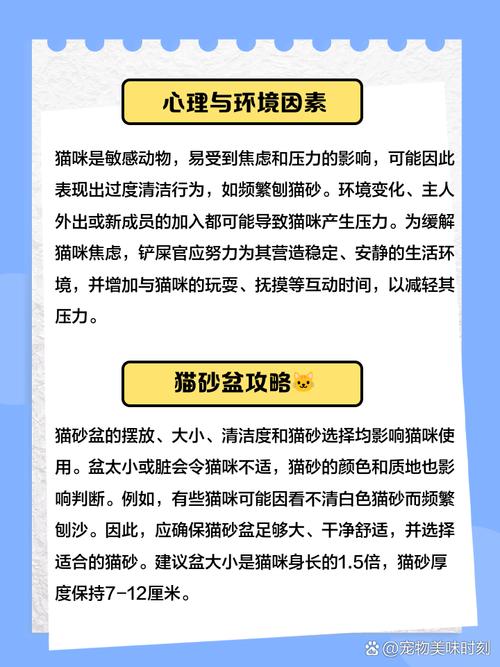 猫咪为什么疯狂刨猫砂