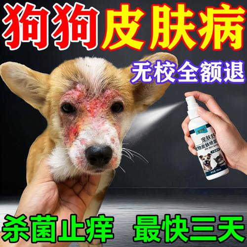 狗狗身上溃烂流脓用什么药