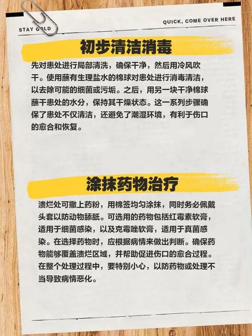 狗狗皮肤破烂了怎么治?