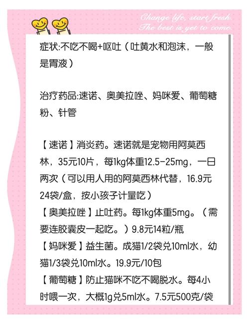 猫肠胃炎要花多少钱