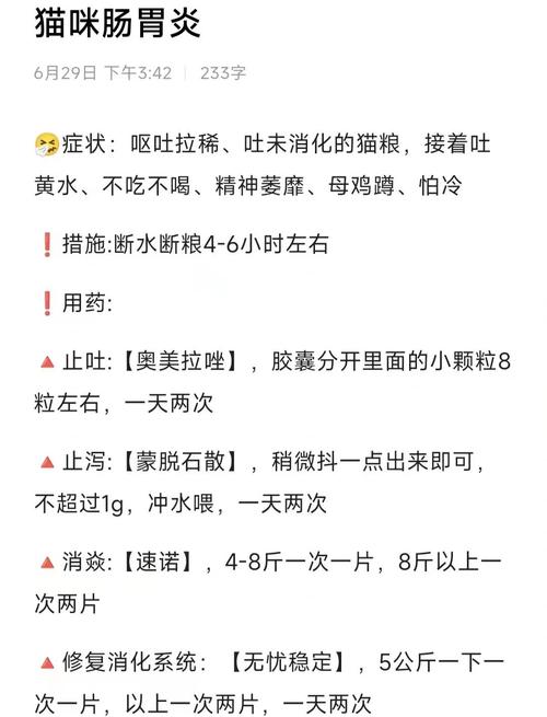 养猫一个月多少钱