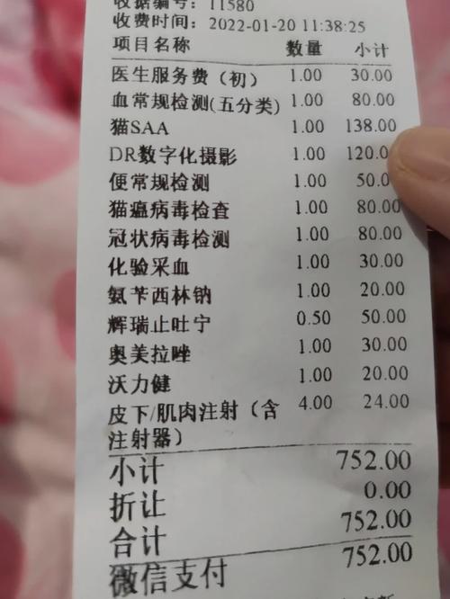 治疗猫肠胃炎要多少钱