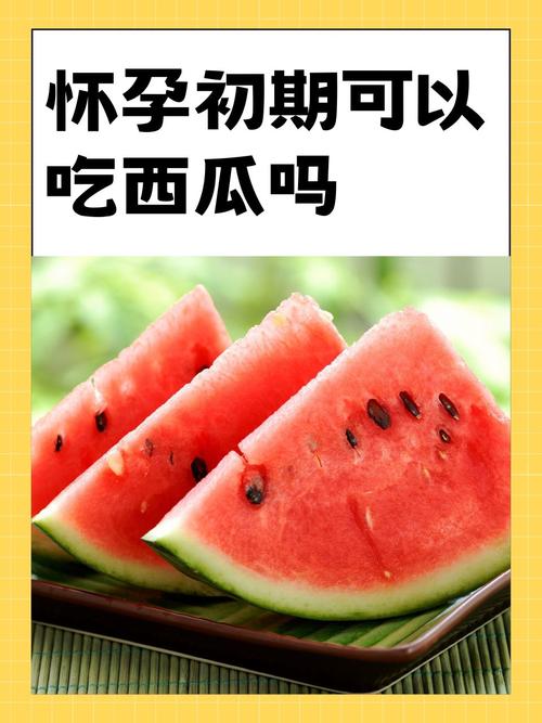 怀孕狗能吃西瓜吗