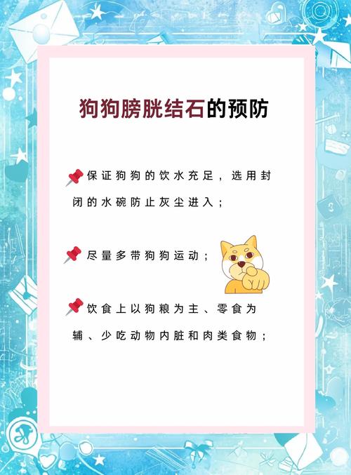 狗狗得了尿结石怎么办