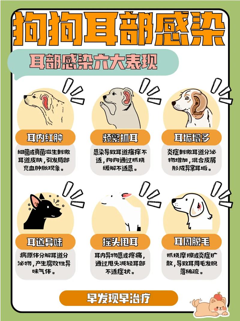 狗狗为什么经常挠头