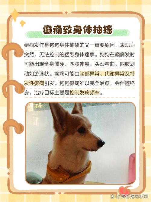 狗狗为什么经常得瑟