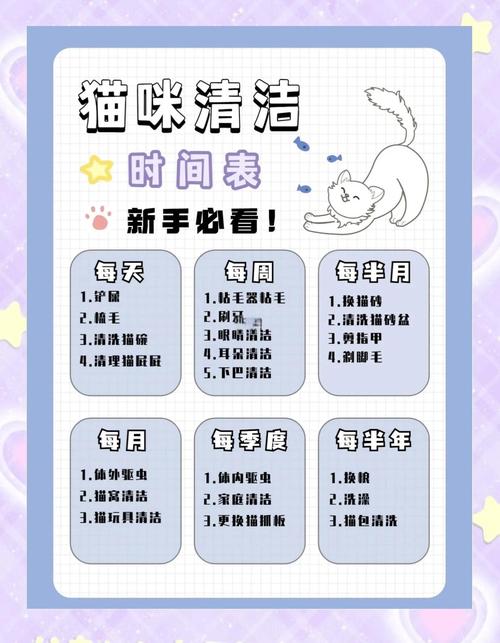 猫咪到一个新环境多久能适应