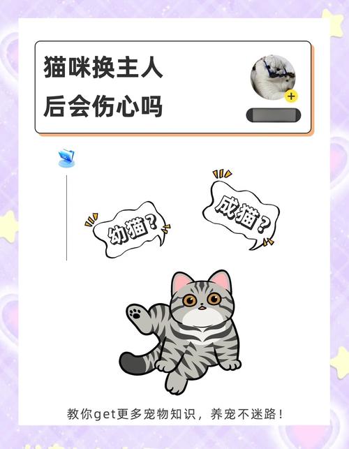 猫到新环境几天能适应?