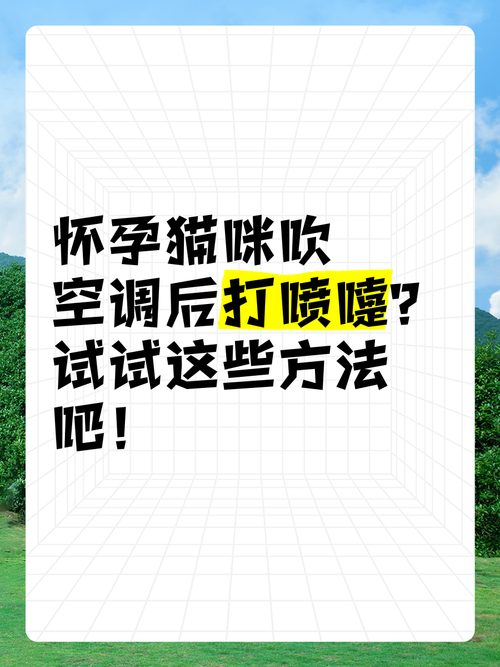 猫吹空调打喷嚏怎么办?