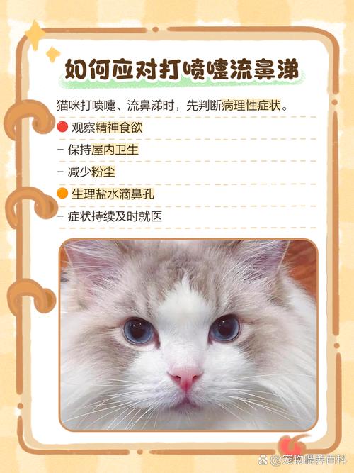 猫咪打喷嚏流鼻涕但是吃喝正常怎么办