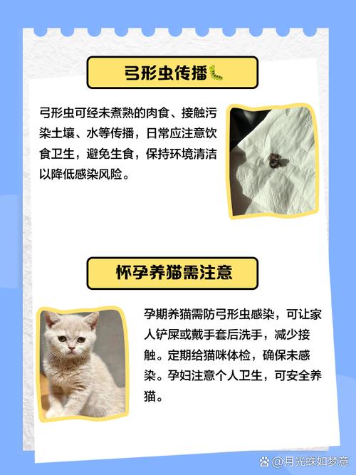 猫弓形虫如何传染给人