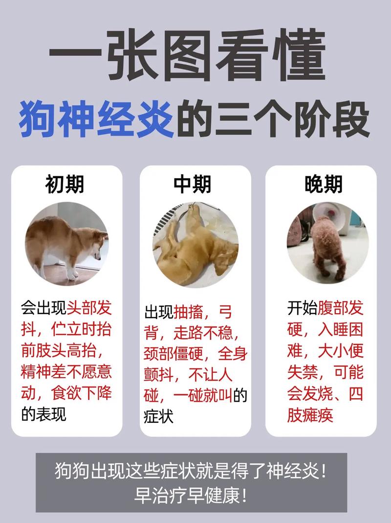 狗狗如何避免得脑炎