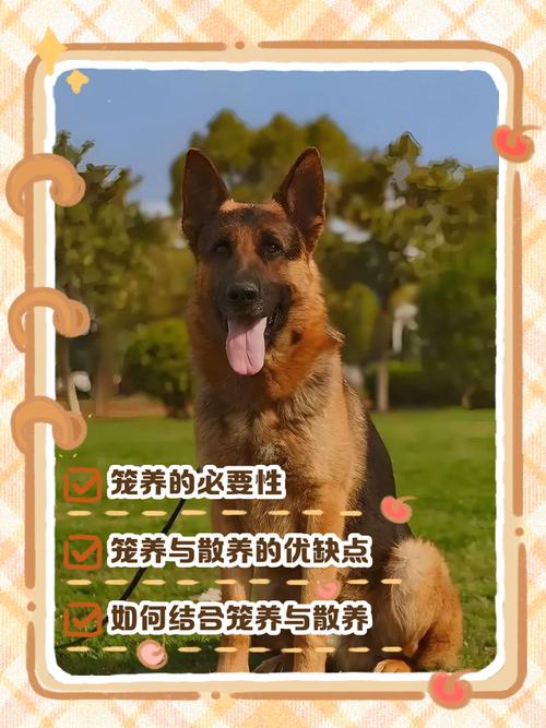 宠物狗是养在笼子里呢还是散放在家里好