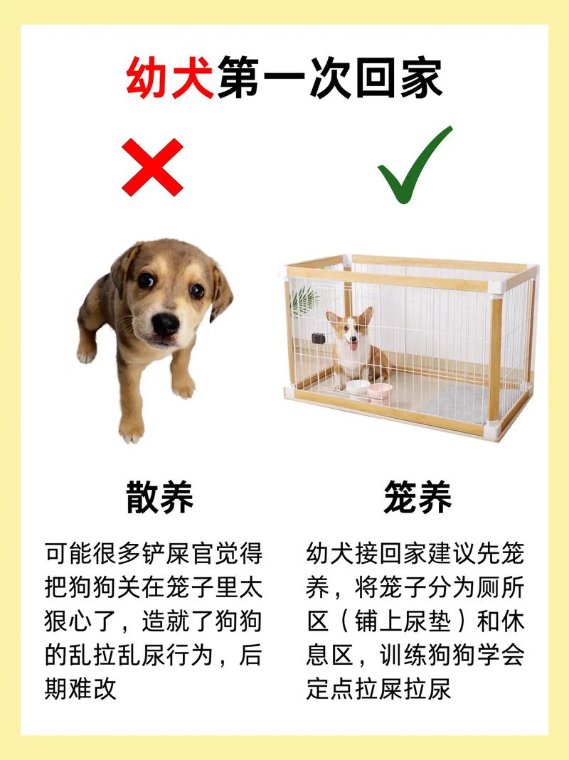 狗狗在楼房里散养还是笼养