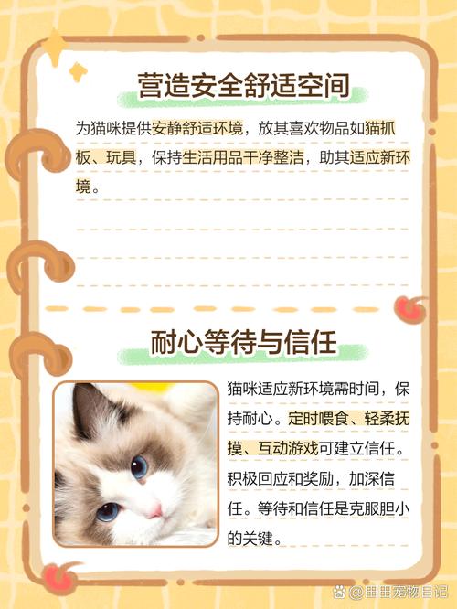 小猫胆小怕人怎么办?