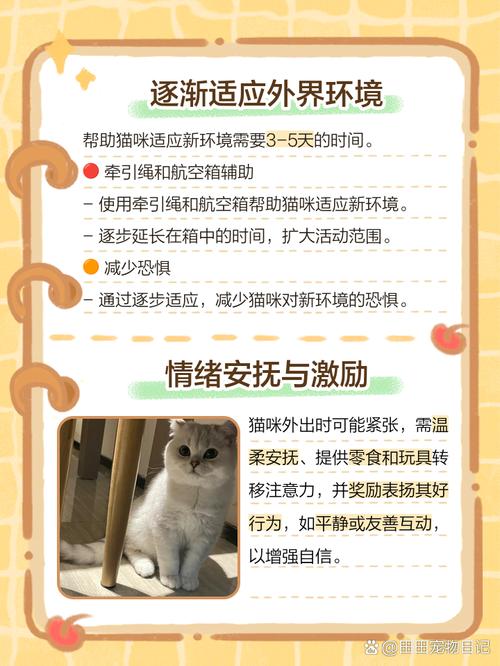 猫养了一年还是怕人