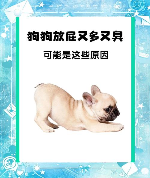 狗狗放屁为什么不让闻