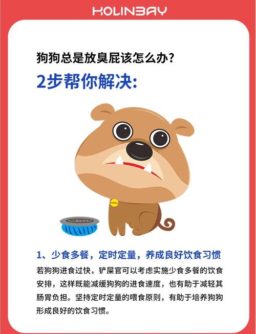 狗狗老放屁而且很臭什么原因
