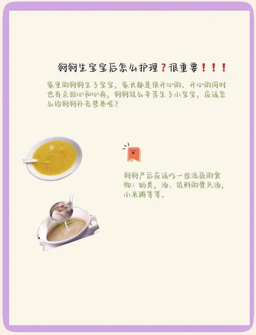 生下来的小狗要吃什么