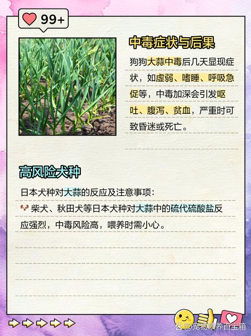 狗吃蒜了怎么办