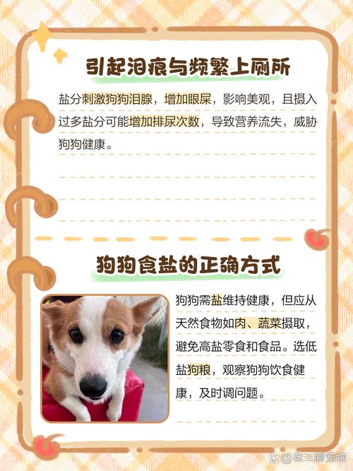 狗狗吃盐吃多了怎么办紧急处理方法你要知道