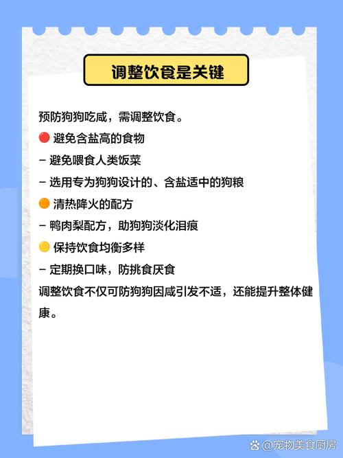 狗狗吃咸了怎么补救