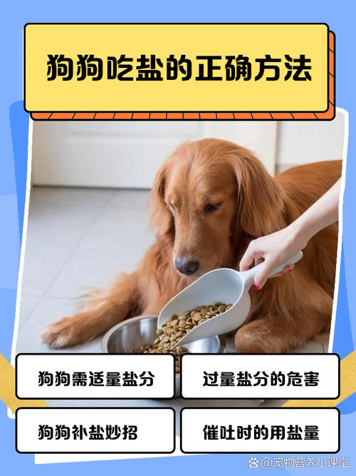 狗狗吃咸了怎么办?狗狗吃咸后的鲜明表现