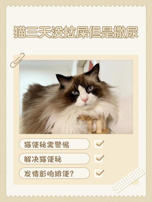 猫三天没拉屎但正常撒尿有问题吗?