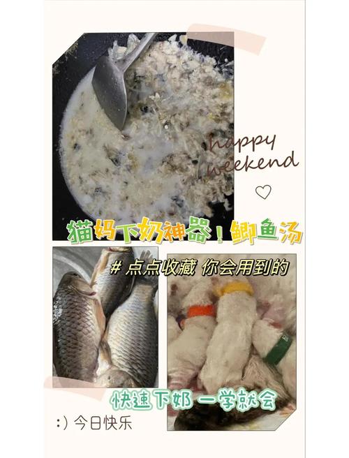 怎么自己动手给猫做鱼肉吃?