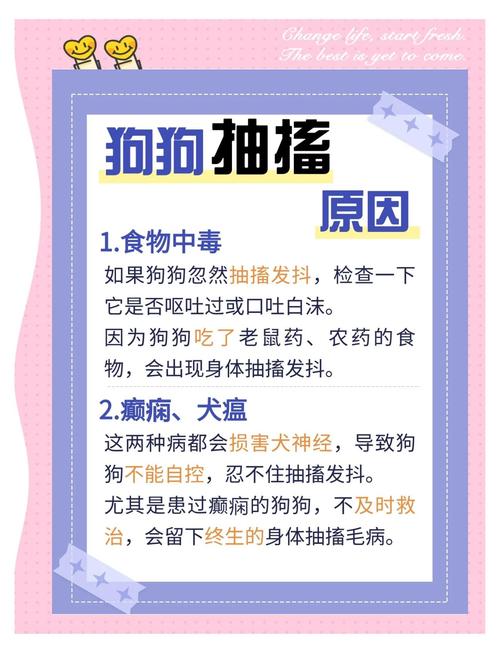 狗狗一抽一抽的怎么回事