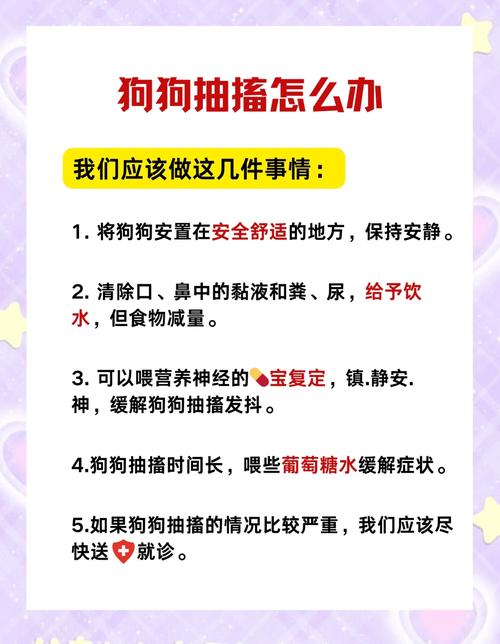 狗狗抽搐是什么原因引起的