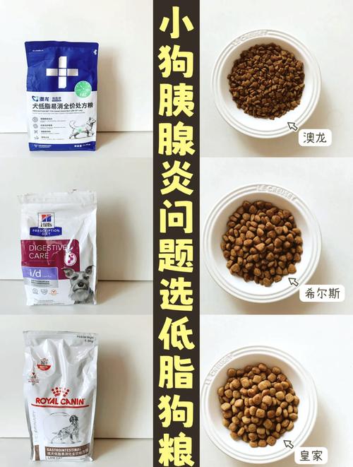 犬胰腺炎能吃什么呢?