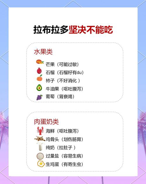 比熊犬的营养餐制作