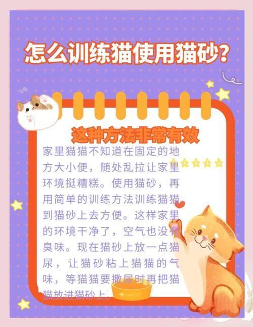 怎样防止猫猫随便拉屎