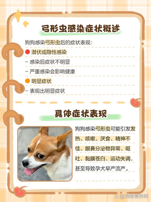 怎么判断狗狗有弓形虫