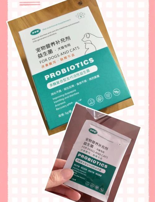 狗狗可以吃酸奶布丁吗?