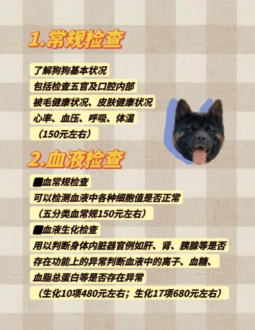 狗狗做一次血液抗体检查需要多少钱