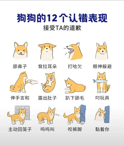 狗狗认错的表现