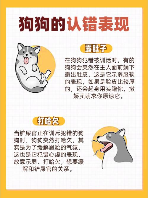 狗狗认错的12种表现|你家出现过几个?