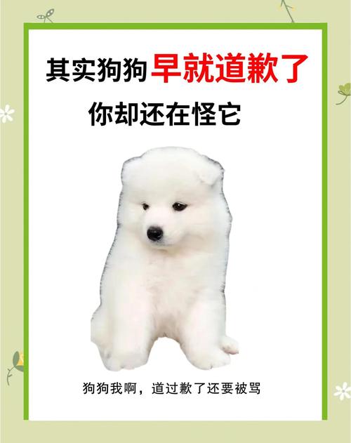 狗狗挨打后认错的表现