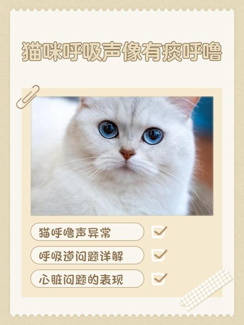 猫咪嗓子像有痰似的呼呼的怎么回事