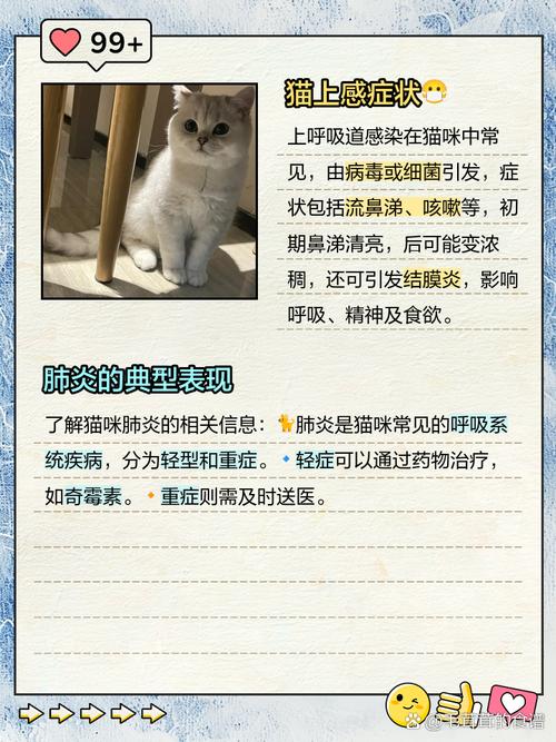 一岁大的猫咪呼吸时有杂音且叫声小而沙哑该怎么治疗?