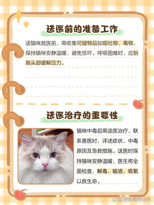 猫咪中毒了该怎么解毒