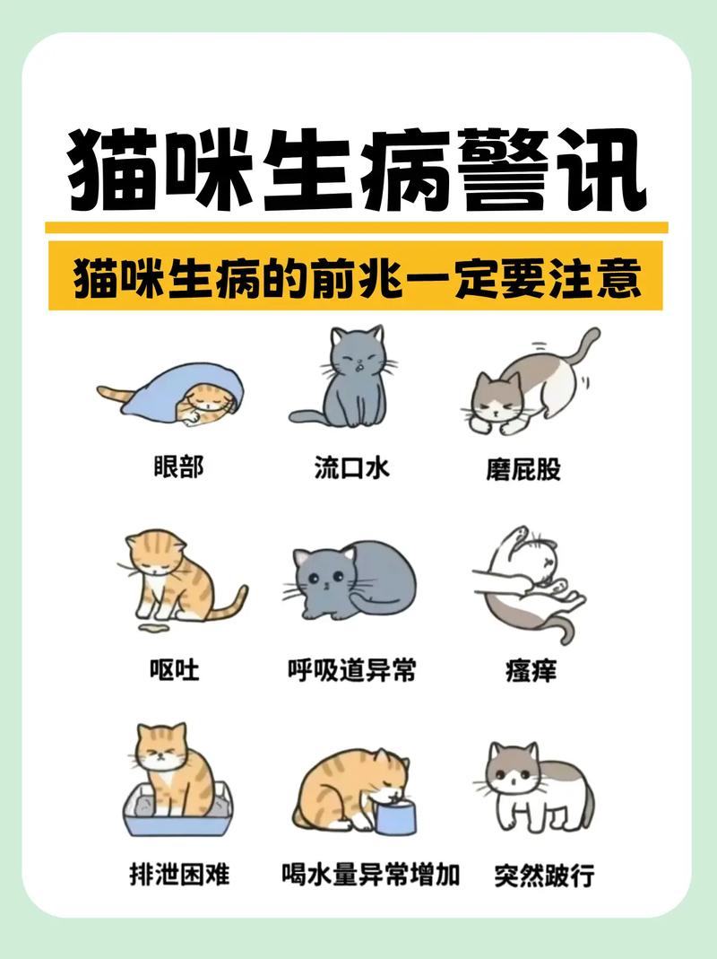 猫咪发烧的6个征兆是什么