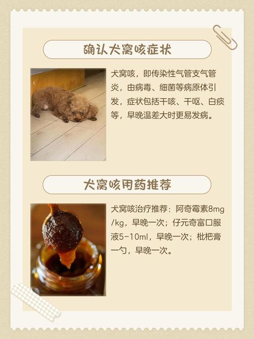 狗咳嗽像是卡干呕用什么药