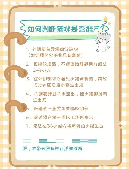 母猫生小猫,要怎么处理?需不需要人帮忙的,