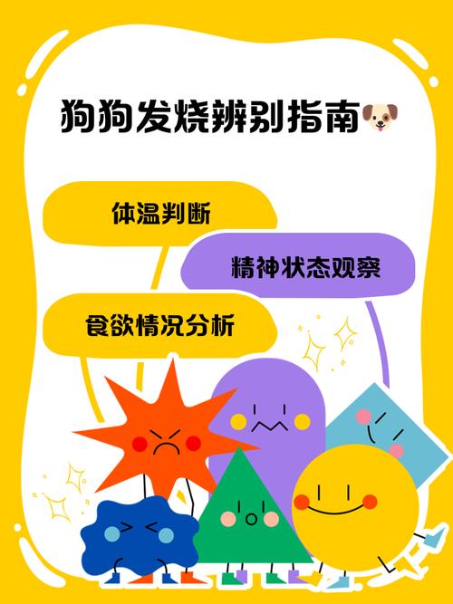 狗狗发烧摸哪里才知道