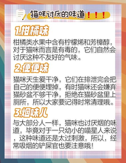 猫不喜欢什么味道,怎样阻止猫进卧室