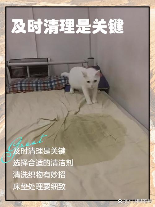 猫咪不喜欢什么味道
