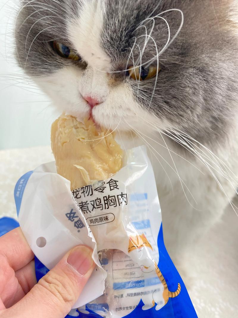 可以给猫吃生的鸡胸肉吗